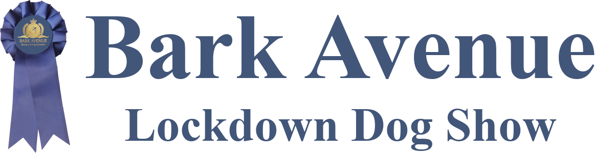 Bark Avenue Lockdown Dog Show